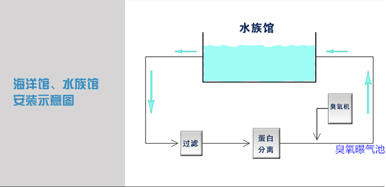 海洋館過濾，蛋分，臭氧，曝氣池.png